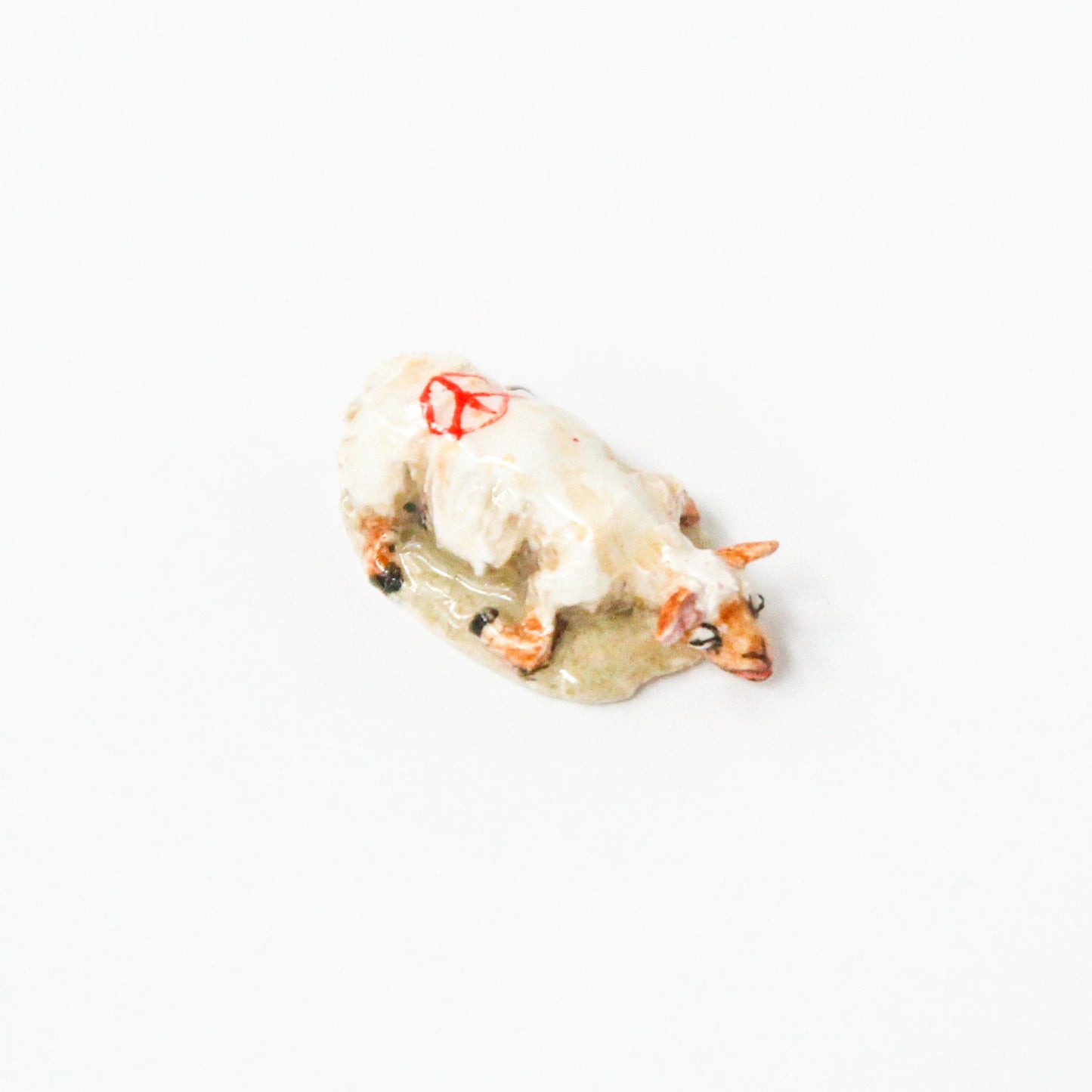 Fève MOUTON