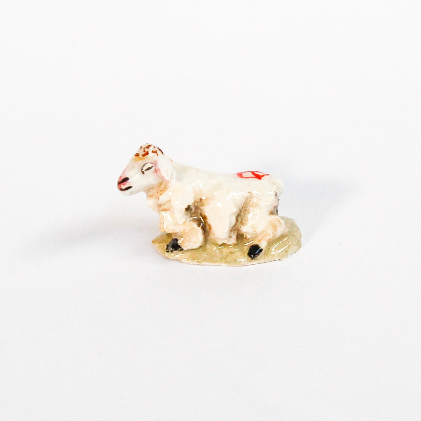 Fève MOUTON