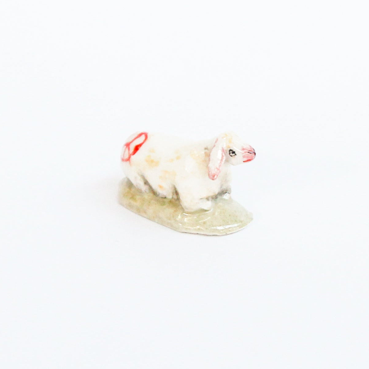 Fève MOUTON
