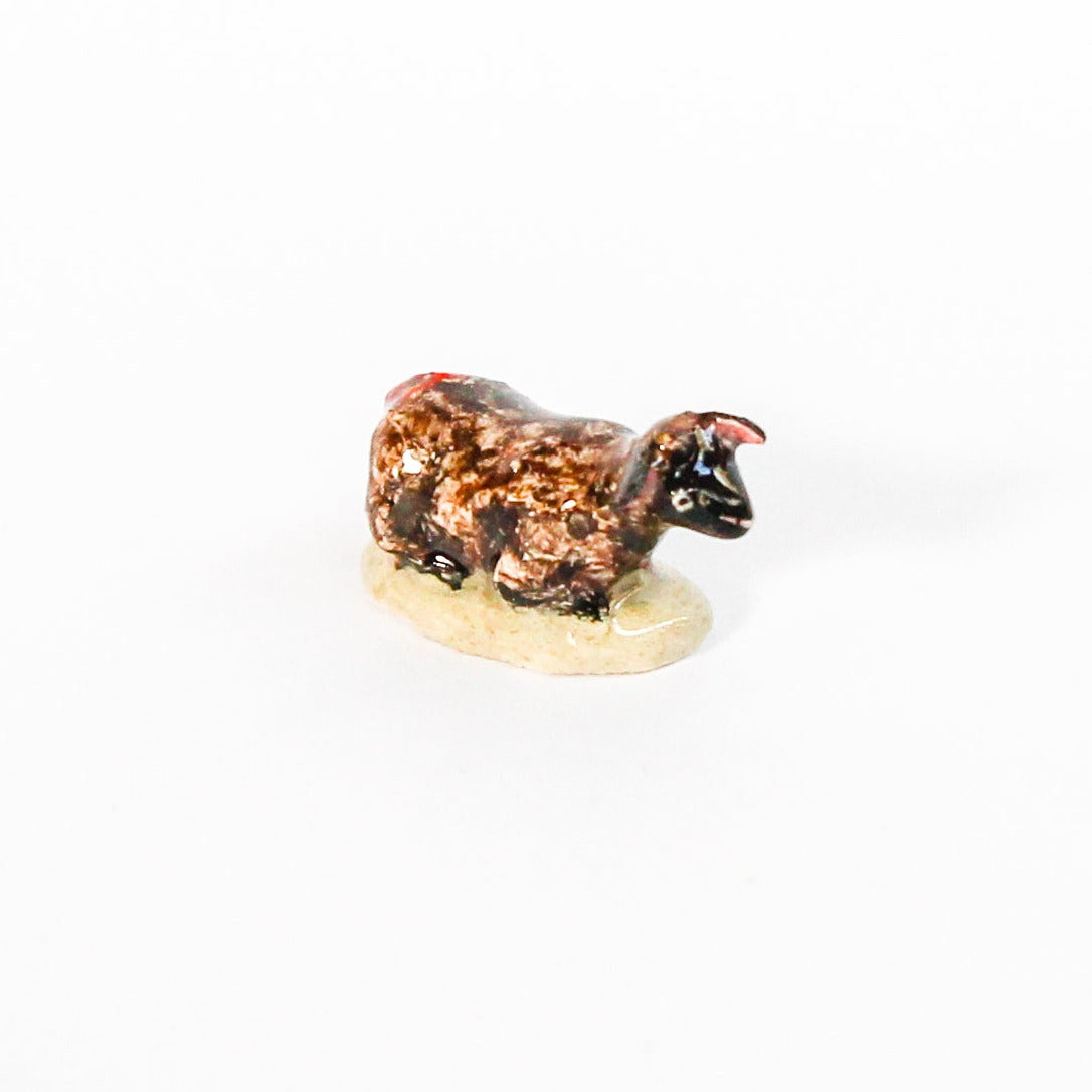 Fève MOUTON